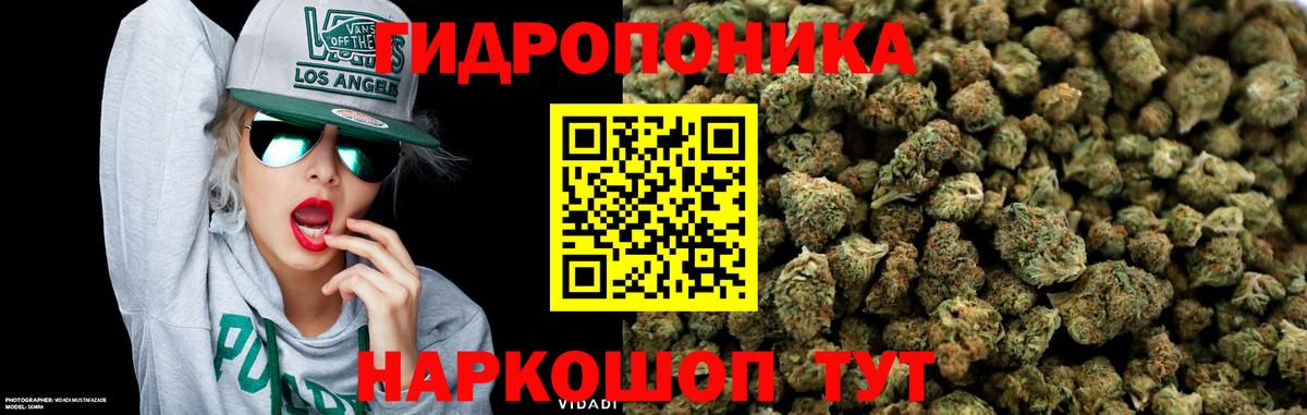 Белореченск  Бошки марихуана THC 21%  Вход с VPN  Каннабис Bruce Banner  Бошки марихуана тримм 